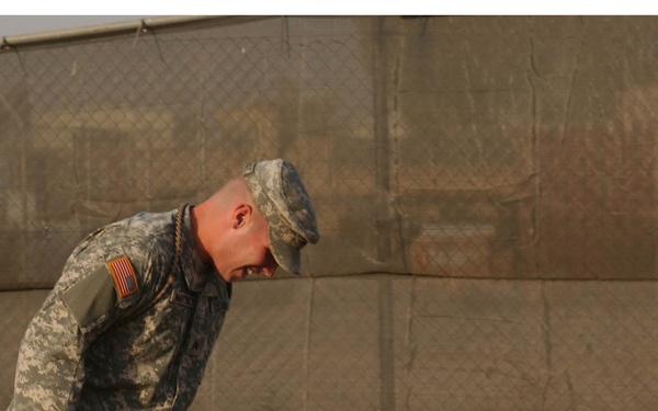 Man's best friend or fearless watchdog