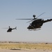 2nd Squadron, 6th Cavalry keeps &quot;birds&quot; in the fight in Iraq