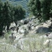 Soldiers Negotiate Mountainous Terrain on Patrol