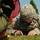 5th NCO and Soldier of the Year Competition Land Nav