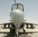 Prowler squadron sets flight-hour milestone in Iraq