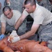 Cav. Soldiers Face Real-Life Medical Training