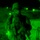 Iraqi Soldiers and U.S. Paratroopers Conduct Joint Operation Near Tikrit Iraqi Soldiers and U.S. Paratroopers Conduct Joint Operation Near Tikrit