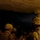 Iraqi Soldiers and U.S. Paratroopers Conduct Joint Operation Near Tikrit Iraqi Soldiers and U.S. Paratroopers Conduct Joint Operation Near Tikrit