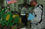 BALAD, Iraq (Nov. 11, 2006) - Master Sgt. Christopher Howard, the 13th Sustainment Command (Expeditionary) food service sergeant major, studies one of the displays at DFAC 4 as part of the Veterans Day DFAC competition Nov. 11. Howard was one of the two j