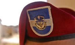 Distinctive Unit Insignia Crest