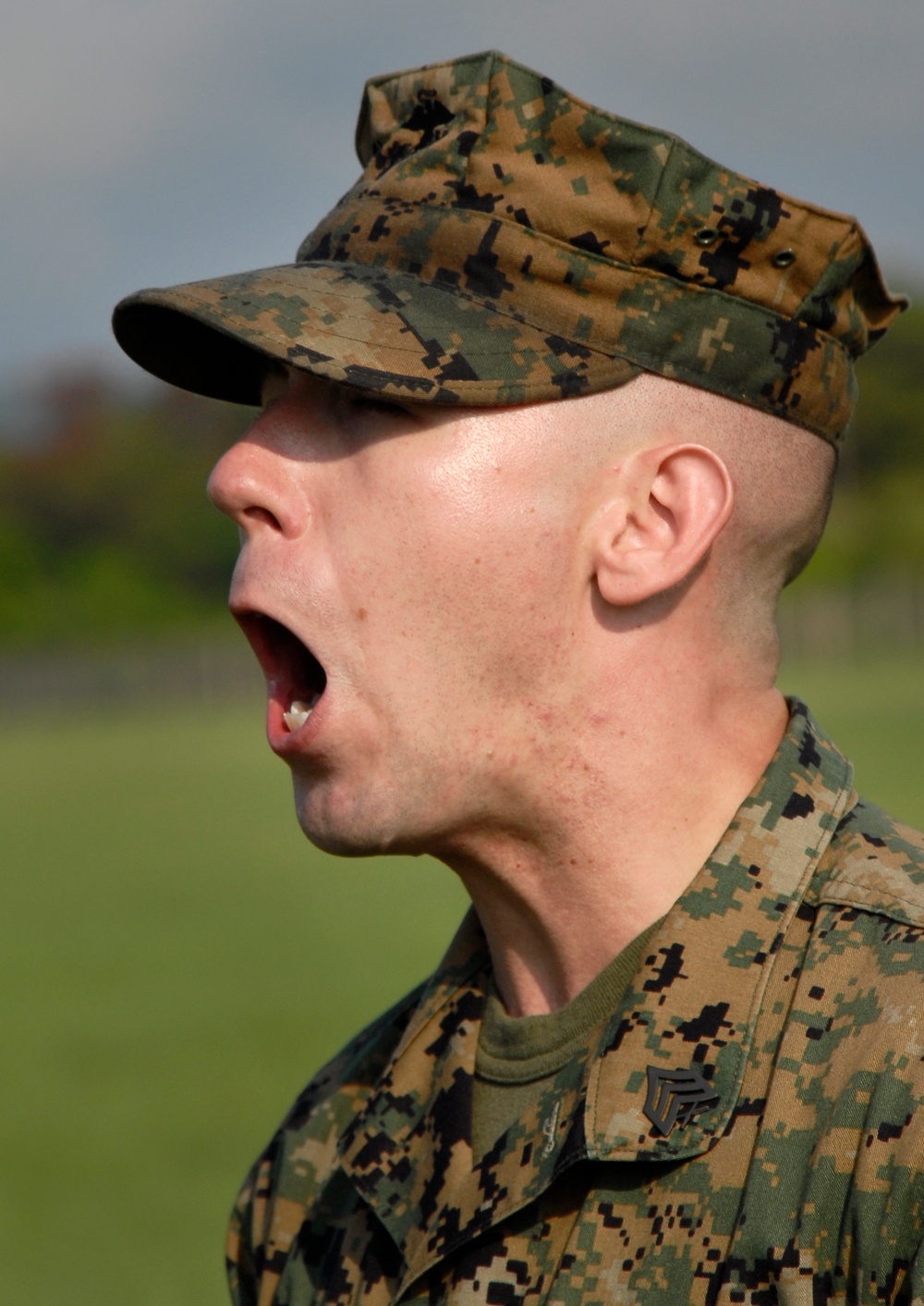 In search of drill