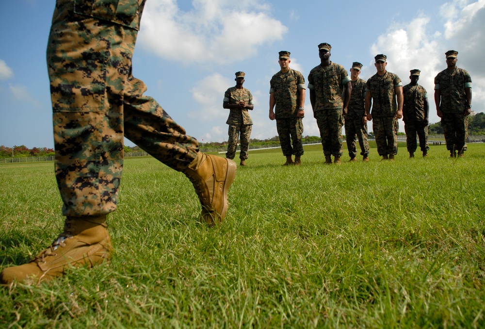 In search of drill