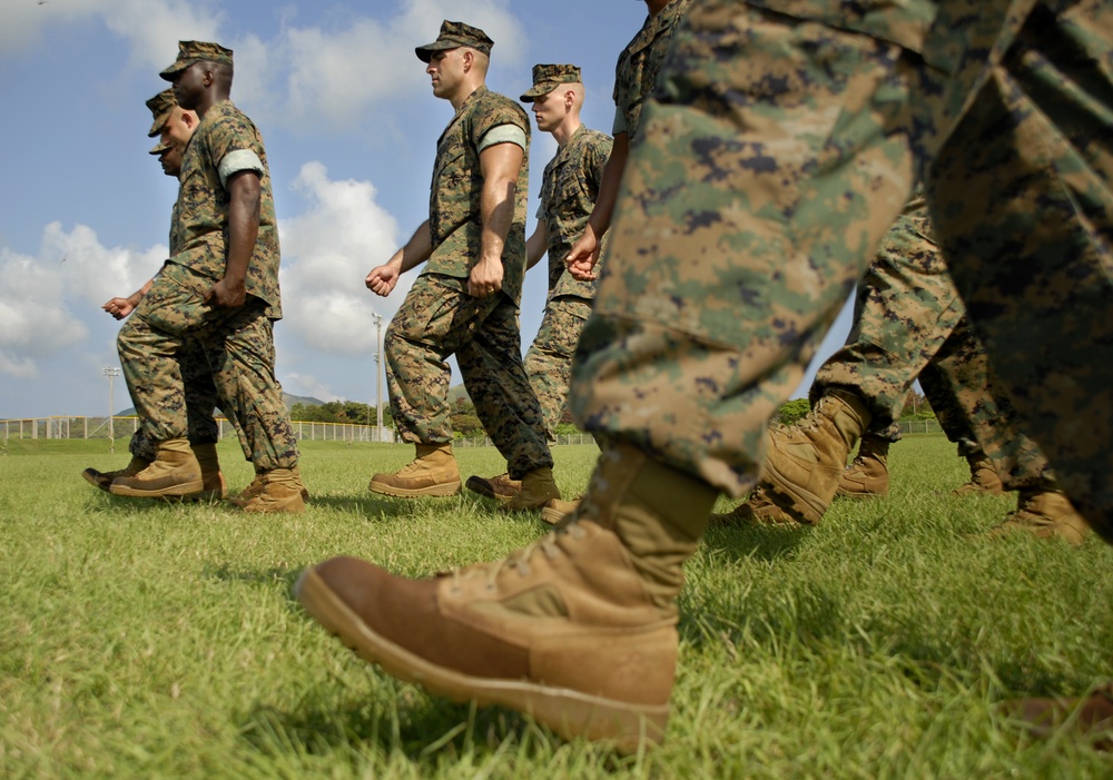In search of drill