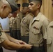 In search of drill