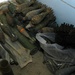 Iraqi Army finds weapons cache