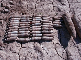 Iraqi Police, Army team up with paratroopers, discover three weapon caches