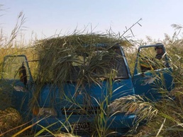 Paratroopers Disrupt Violence in Turki Village