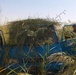 Paratroopers Disrupt Violence in Turki Village