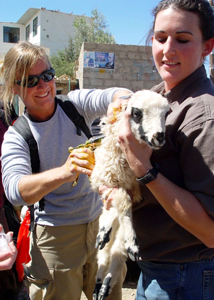 Female Soldiers teach, certify Yemeni women to help livestock