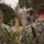 164th CSG Plants Olive Trees 164th CSG Plants Olive Trees