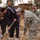 164th CSG plants olive trees 164th CSG plants olive trees