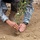 U.S. Soldiers Extend Olive Branch to Iraqi People U.S. Soldiers Extend Olive Branch to Iraqi People