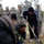 U.S. Soldiers Extend Olive Branch to Iraqi People U.S. Soldiers Extend Olive Branch to Iraqi People