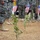 U.S. Soldiers Extend Olive Branch to Iraqi People U.S. Soldiers Extend Olive Branch to Iraqi People