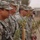 U.S. Soldiers Extend Olive Branch to Iraqi People U.S. Soldiers Extend Olive Branch to Iraqi People