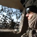 Business as Usual for Troops of Courage