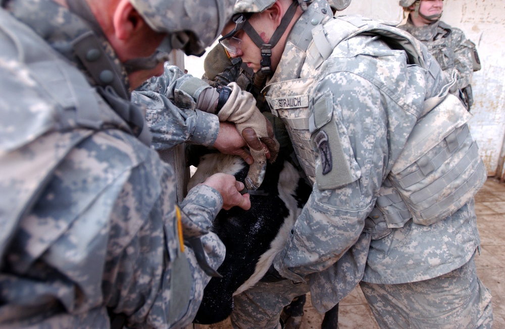 Yusufiyah Animals Benefit From Visit