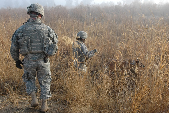 Iraqi soldiers participate in joint operations