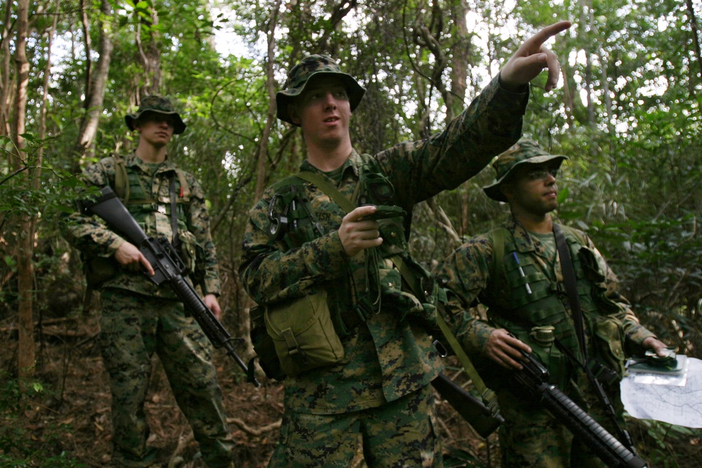 Marines Navigate Jungle During Training Course
