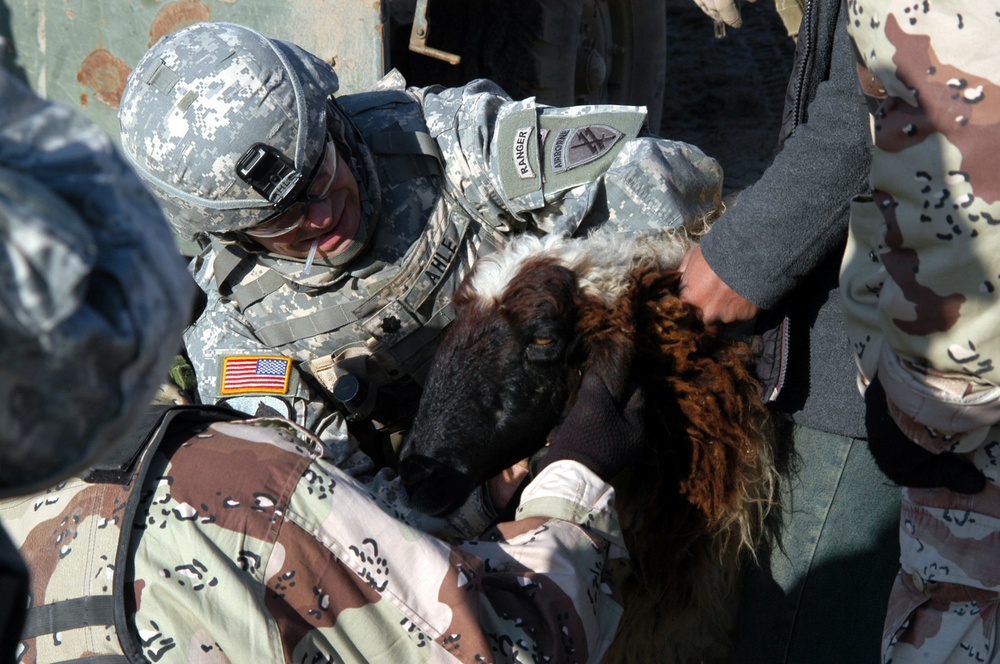 Operation continues snagging caches, detainees and de-worming sheep