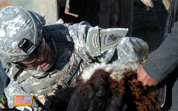 Operation continues snagging caches, detainees and de-worming sheep