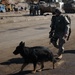 Paratroopers Secure Streets of Baghdad