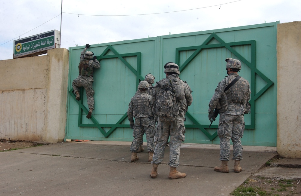 Deciphering the terrorists