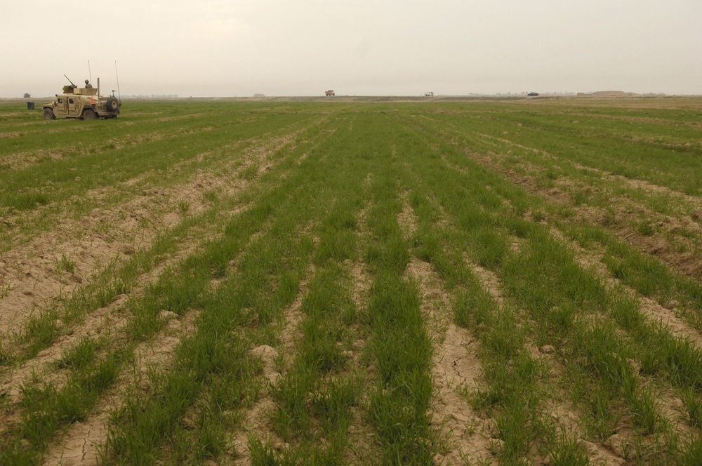 Surveying a future home