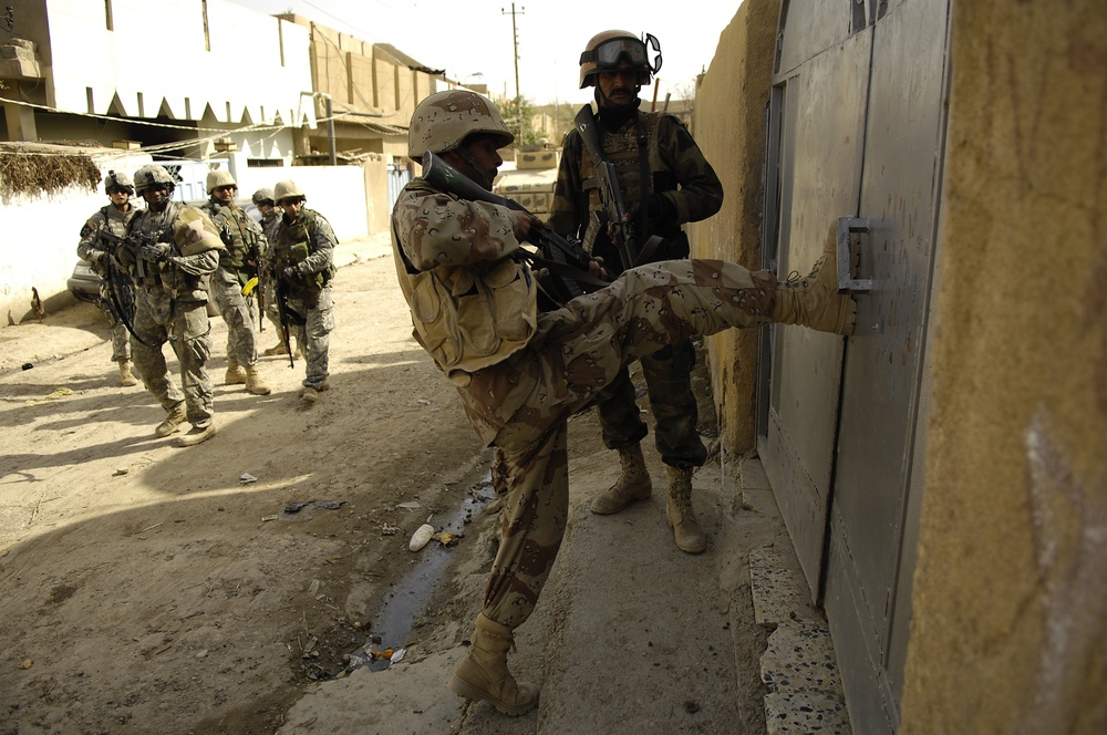 Operation Brown Hawk