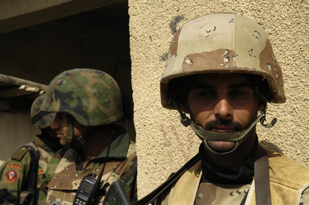Operation Brown Hawk