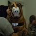 Clinic keeps K9s in check