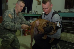 Clinic keeps K9s in check