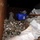 Weapons Cache