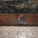 Weapons Cache
