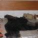 Weapons Cache