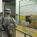 15th BSB begins work with Baghdad Zoo