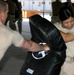 Training for hand to hand combat