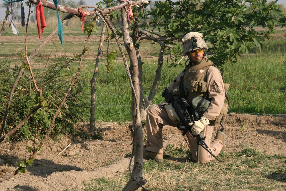 Marines Search Zaidon