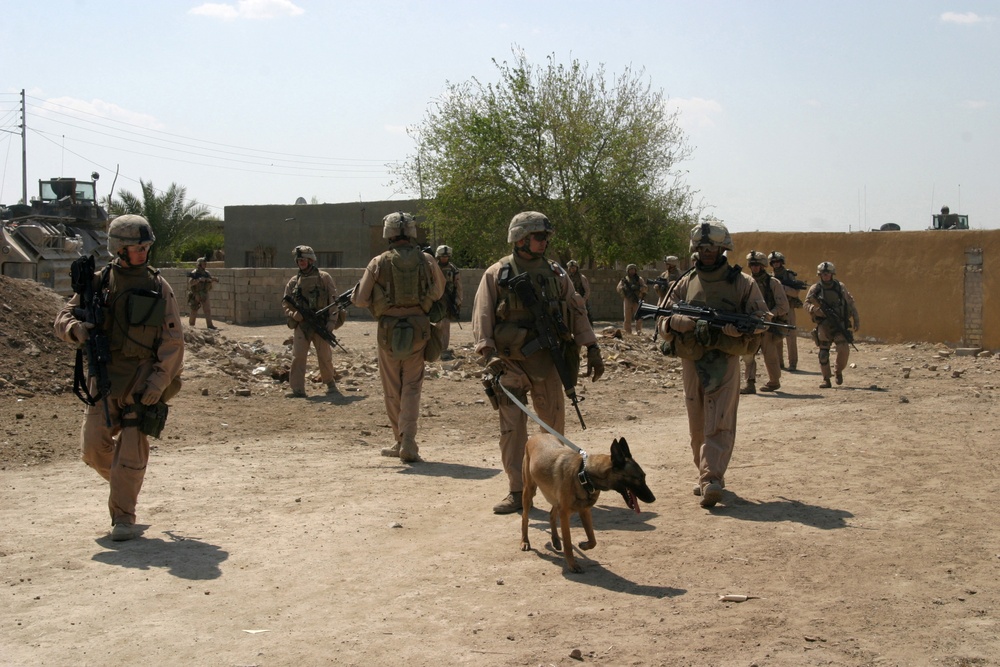 Marines Search Zaidon
