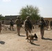Marines Search Zaidon