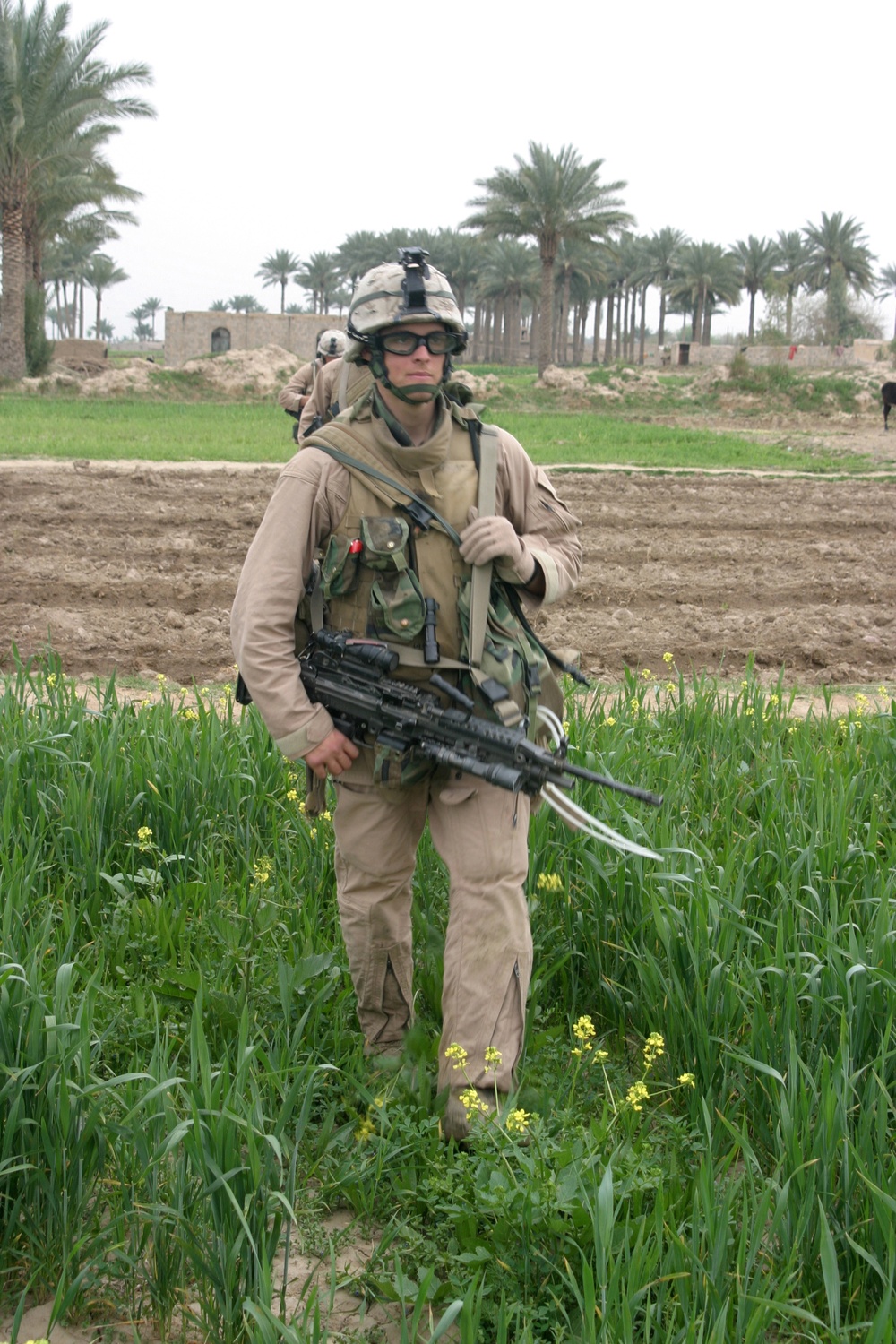 Operation Zaidon II