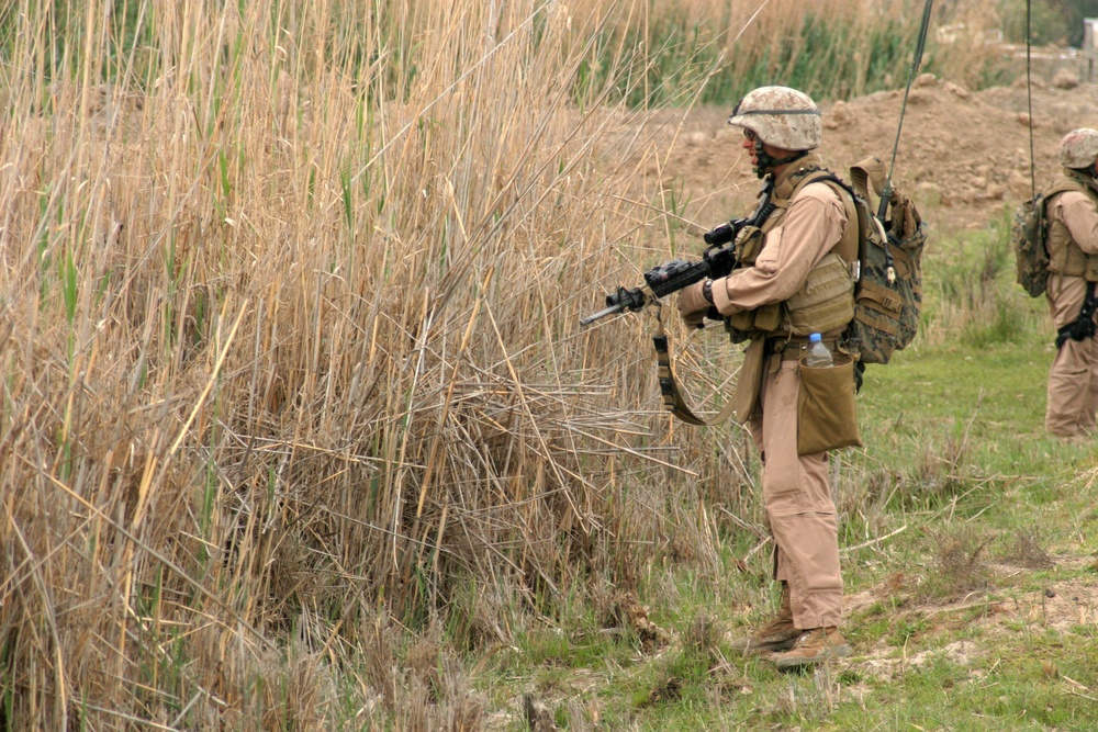 Operation Zaidon II