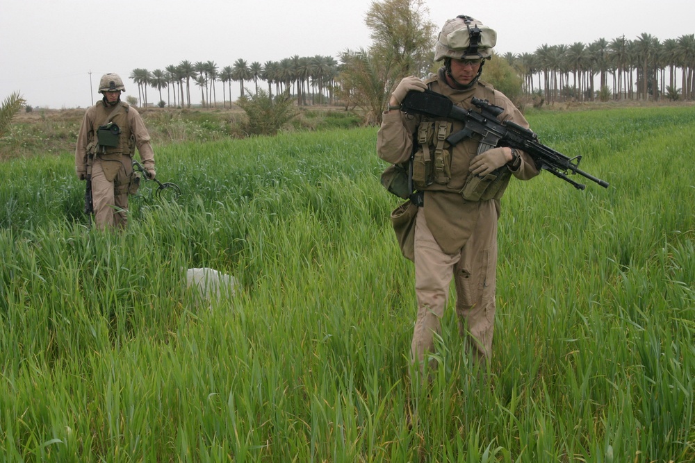 Operation Zaidon II