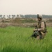 Operation Zaidon II